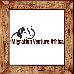 migration venture africa